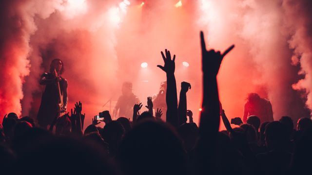 Event security and crowd management